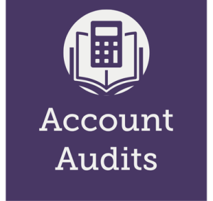 management accounts audits icon